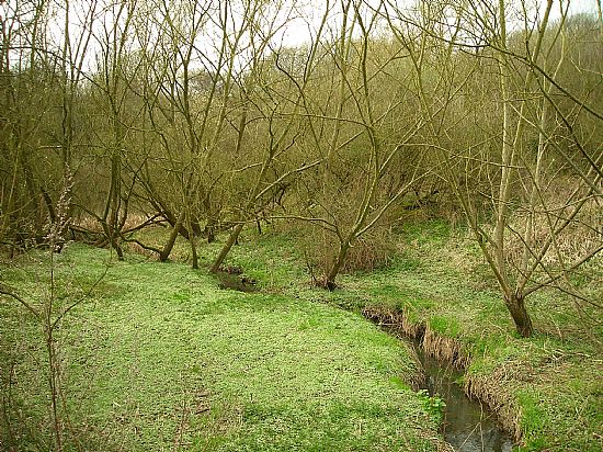 Freehold Mill